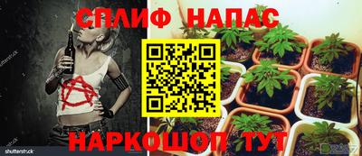 винт Заволжье